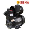 Máy bơm tăng áp Sena 131 LD (150w)