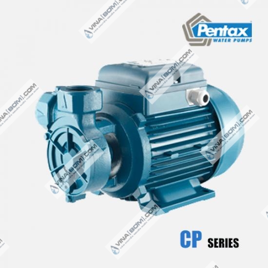 Máy bơm nước chân không áp cao Pentax CP 45 (0.37 kw) - Ảnh 3